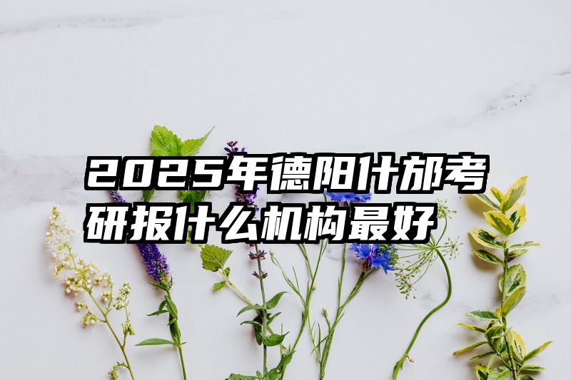 2025年德阳什邡考研报什么机构最好