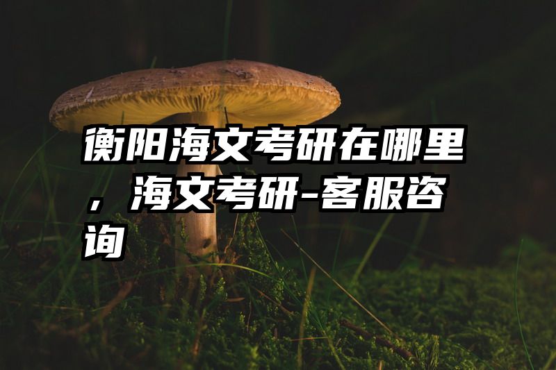 衡阳海文考研在哪里，海文考研-客服咨询