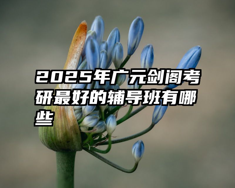 2025年广元剑阁考研最好的辅导班有哪些