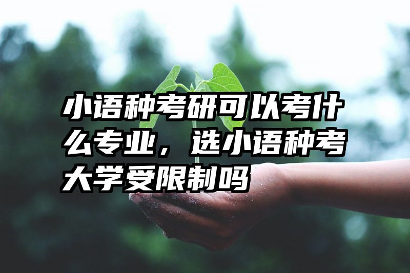 小语种考研可以考什么专业，选小语种考大学受限制吗