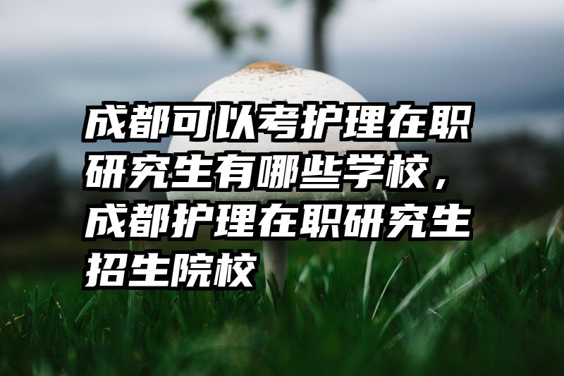 成都可以考护理在职研究生有哪些学校，成都护理在职研究生招生院校