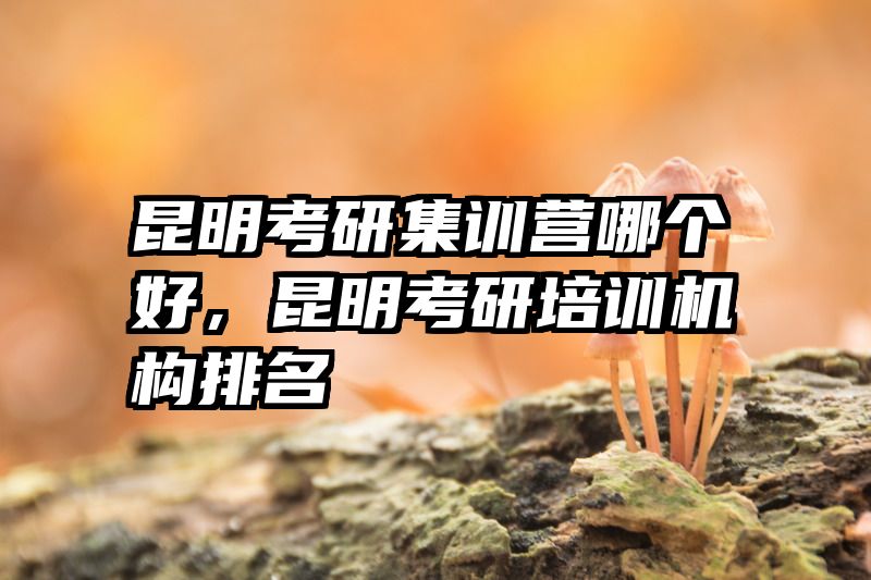 昆明考研集训营哪个好,昆明考研培训机构排名