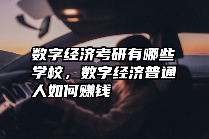 数字经济考研有哪些学校，数字经济普通人如何赚钱