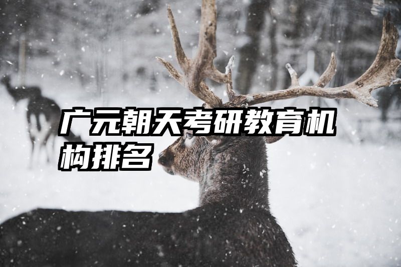 广元朝天考研教育机构排名