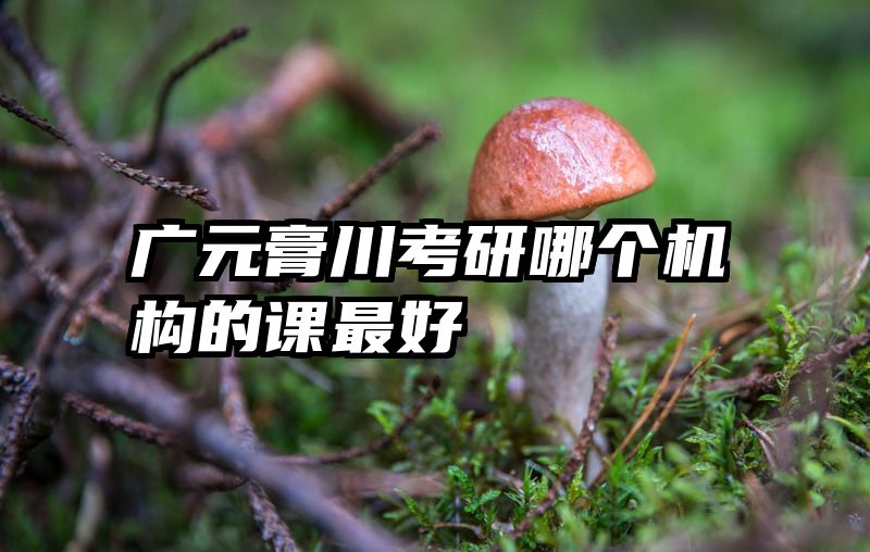 广元膏川考研哪个机构的课最好