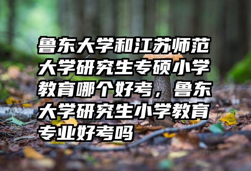 鲁东大学和江苏师范大学研究生专硕小学教育哪个好考,鲁东大学研究生小学教育专业好考吗