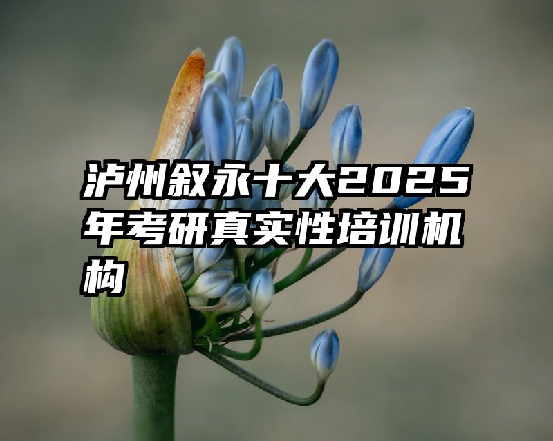 泸州叙永十大2025年考研真实性培训机构
