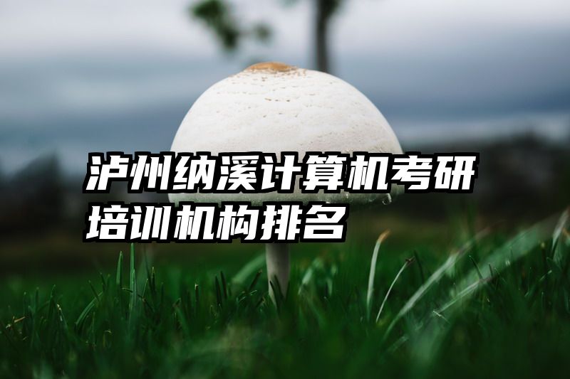 泸州纳溪计算机考研培训机构排名