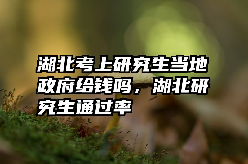 湖北考上研究生当地政府给钱吗，湖北研究生通过率