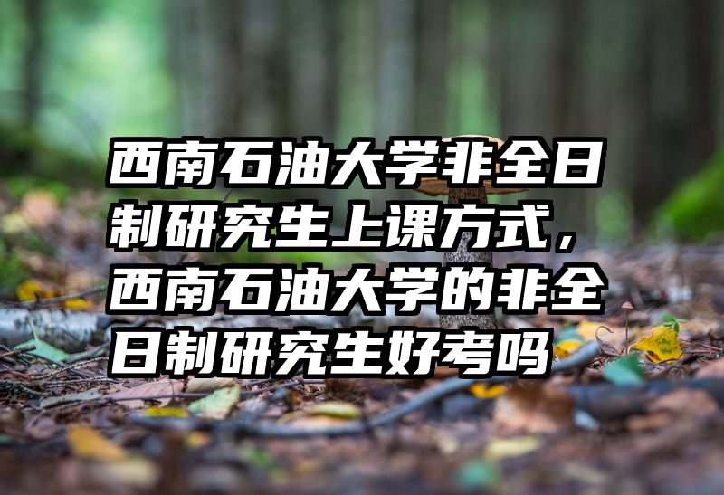 西南石油大学非全日制研究生上课方式，西南石油大学的非全日制研究生好考吗