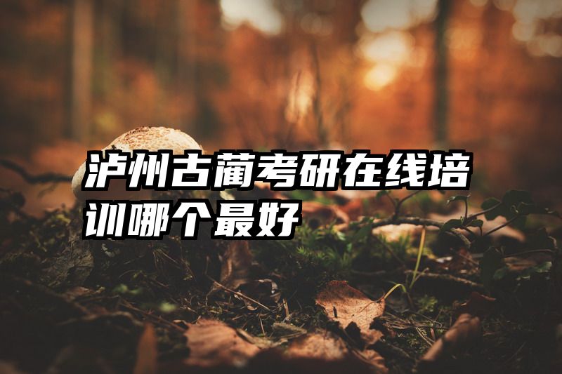 泸州古蔺考研在线培训哪个最好