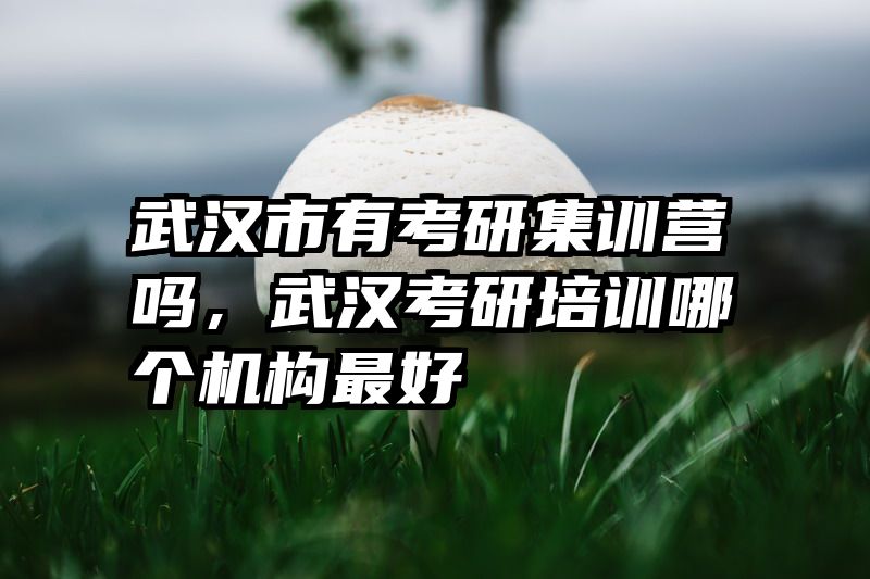武汉市有考研集训营吗，武汉考研培训哪个机构最好