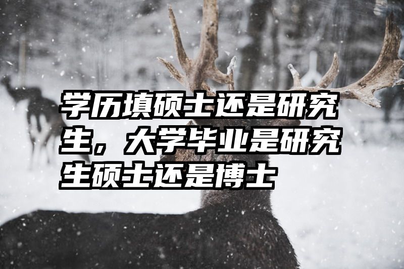 学历填硕士还是研究生，大学毕业是研究生硕士还是博士