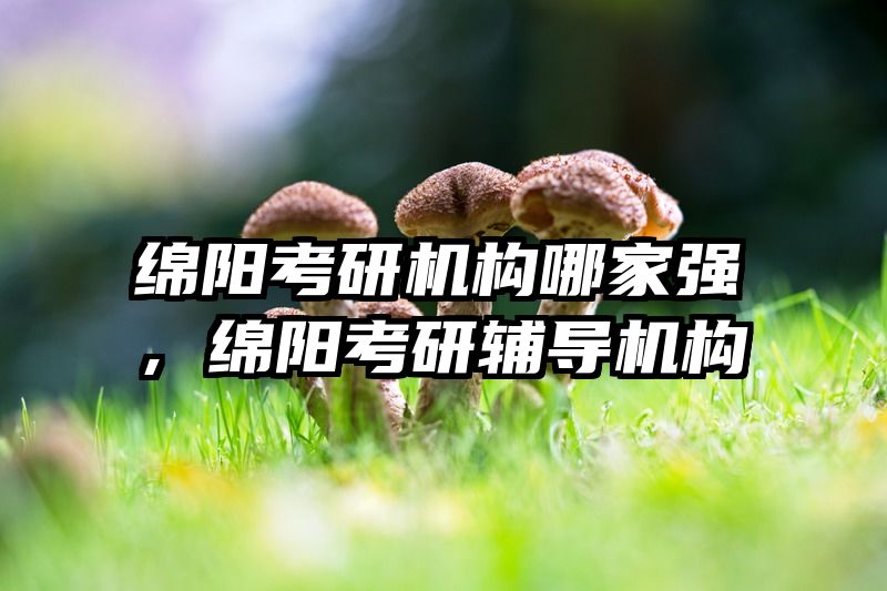 绵阳考研机构哪家强，绵阳考研辅导机构