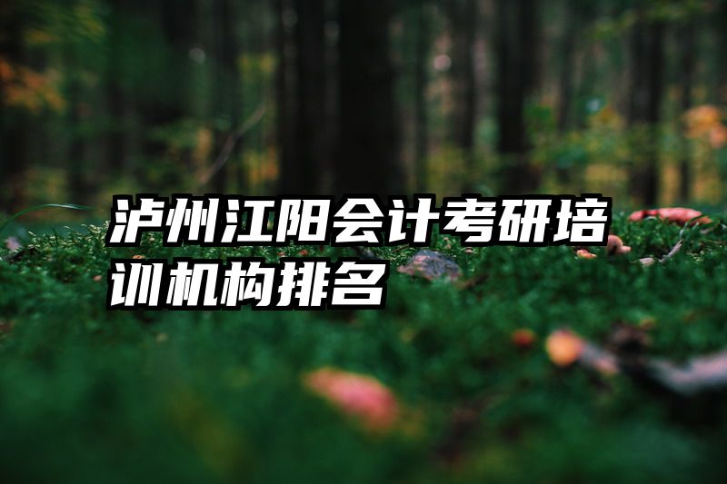 泸州江阳会计考研培训机构排名