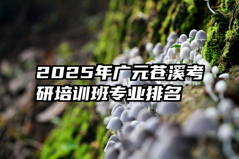 2025年广元苍溪考研培训班专业排名