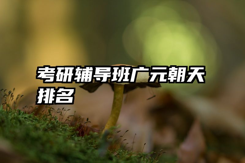 考研辅导班广元朝天排名