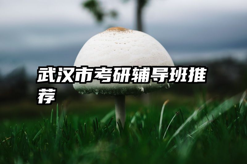 武汉市考研辅导班推荐