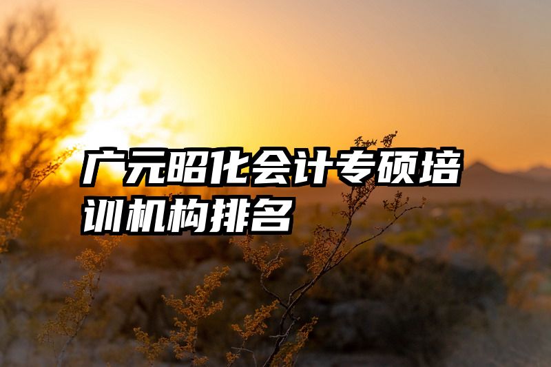 广元昭化会计专硕培训机构排名