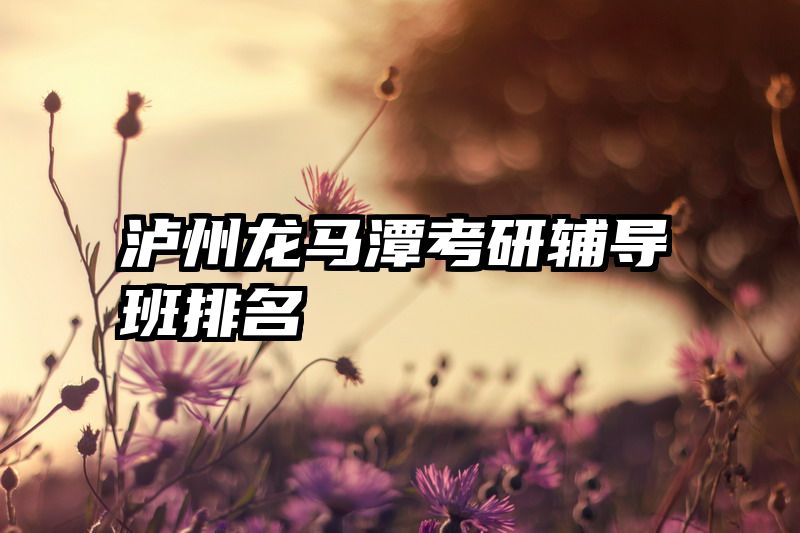 泸州龙马潭考研辅导班排名