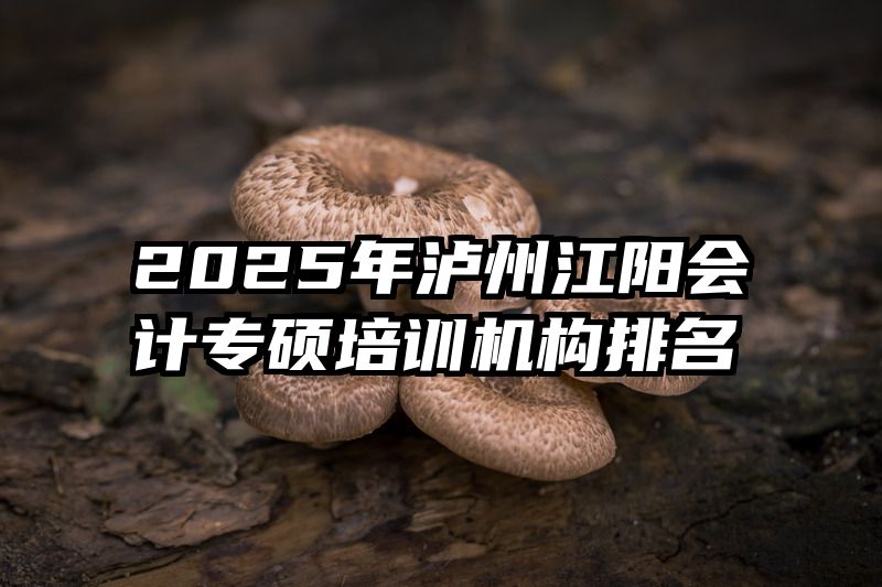 2025年泸州江阳会计专硕培训机构排名