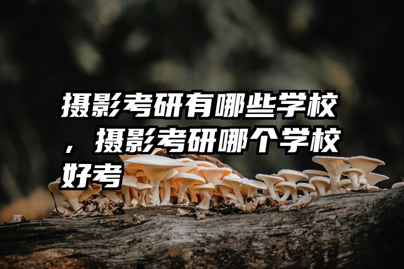 摄影考研有哪些学校,摄影考研哪个学校好考