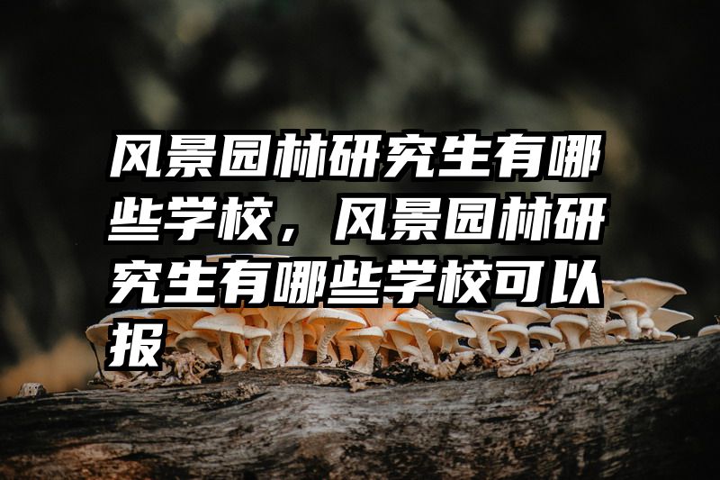 风景园林研究生有哪些学校，风景园林研究生有哪些学校可以报