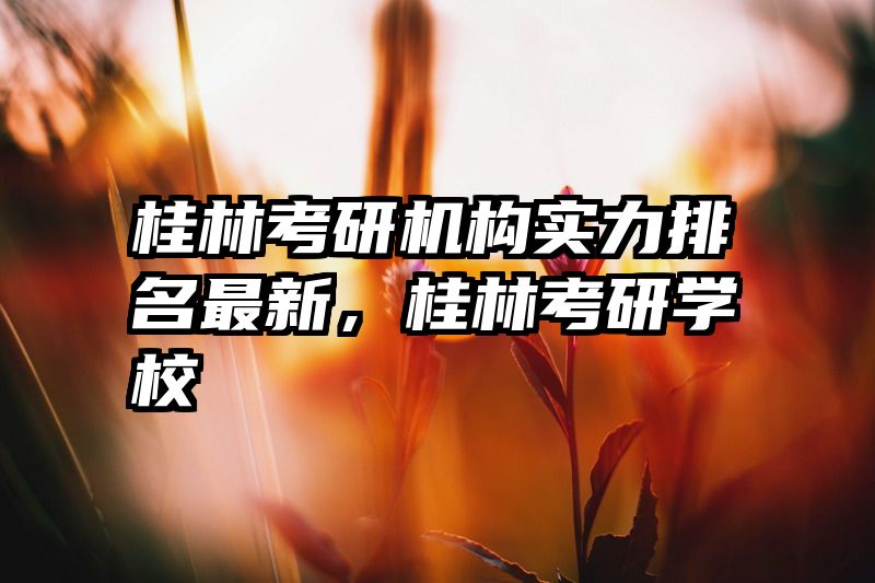桂林考研机构实力排名最新,桂林考研学校