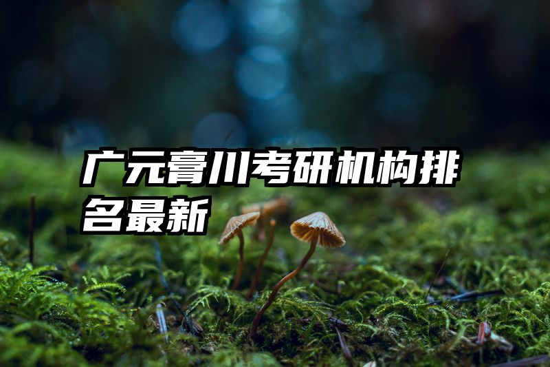 广元膏川考研机构排名最新