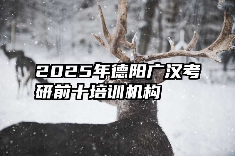 2025年德阳广汉考研前十培训机构
