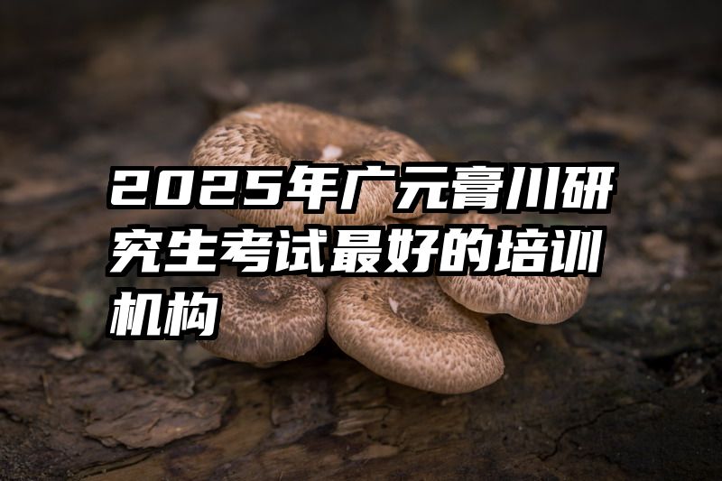 2025年广元膏川研究生考试最好的培训机构
