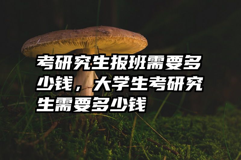 考研究生报班需要多少钱，大学生考研究生需要多少钱