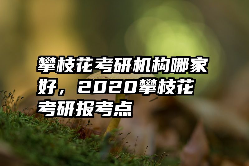 攀枝花考研机构哪家好，2020攀枝花考研报考点