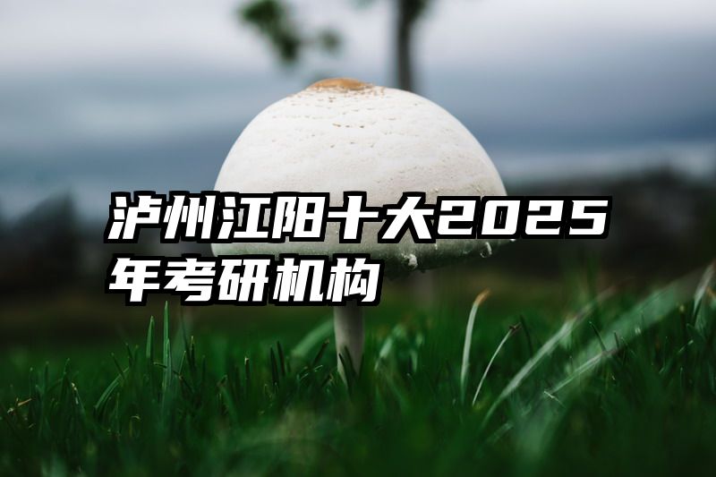 泸州江阳十大2025年考研机构