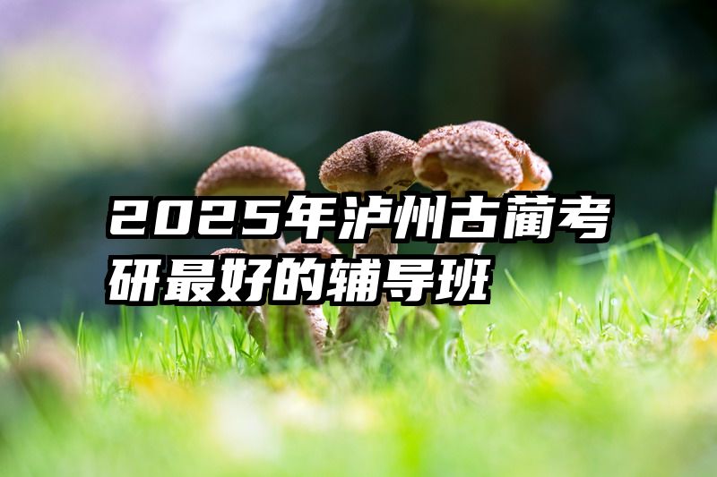2025年泸州古蔺考研最好的辅导班