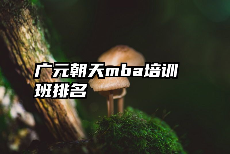广元朝天mba培训班排名