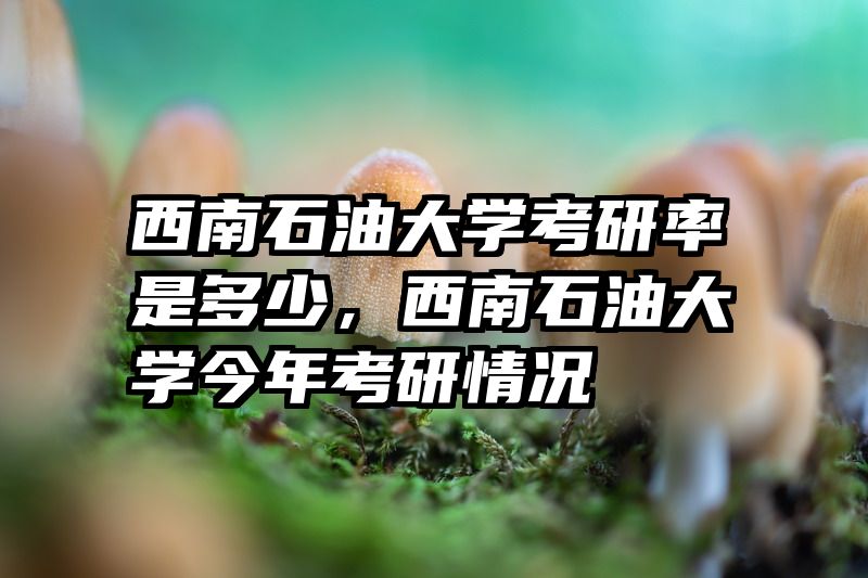 西南石油大学考研率是多少,西南石油大学今年考研情况