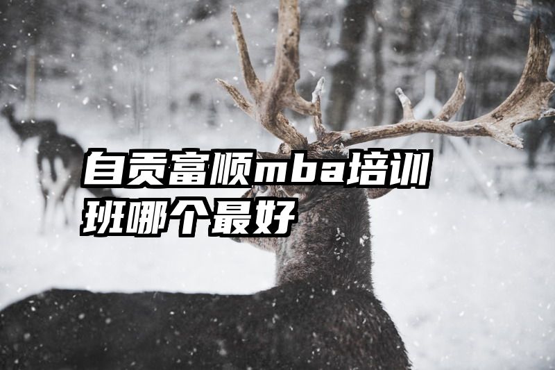 自贡富顺mba培训班哪个最好