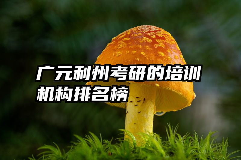 广元利州考研的培训机构排名榜