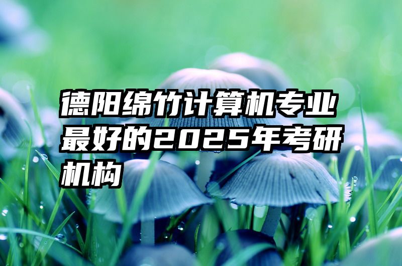 德阳绵竹计算机专业最好的2025年考研机构