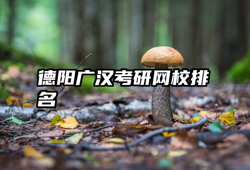 德阳广汉考研网校排名