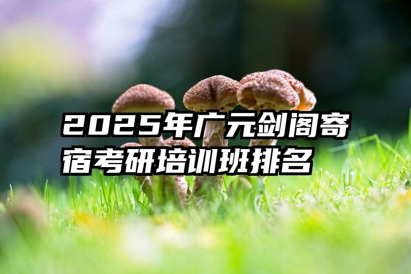 2025年广元剑阁寄宿考研培训班排名