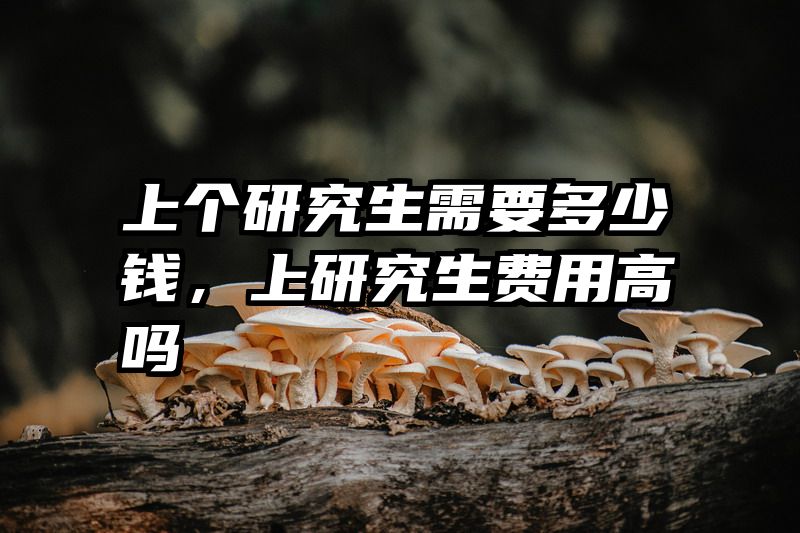 上个研究生需要多少钱,上研究生费用高吗