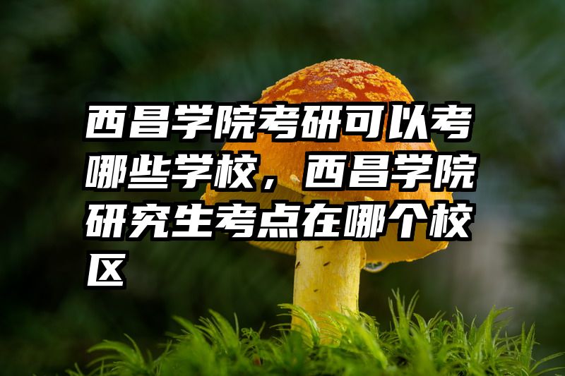 西昌学院考研可以考哪些学校，西昌学院研究生考点在哪个校区