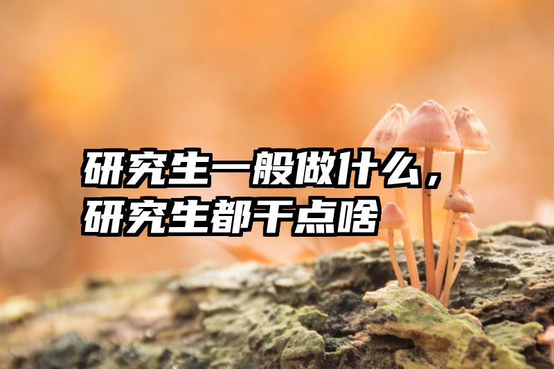 研究生一般做什么，研究生都干点啥