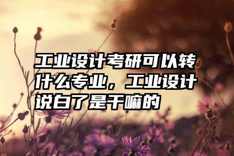 工业设计考研可以转什么专业，工业设计说白了是干嘛的