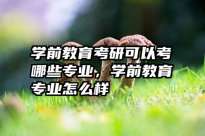 学前教育考研可以考哪些专业，学前教育专业怎么样