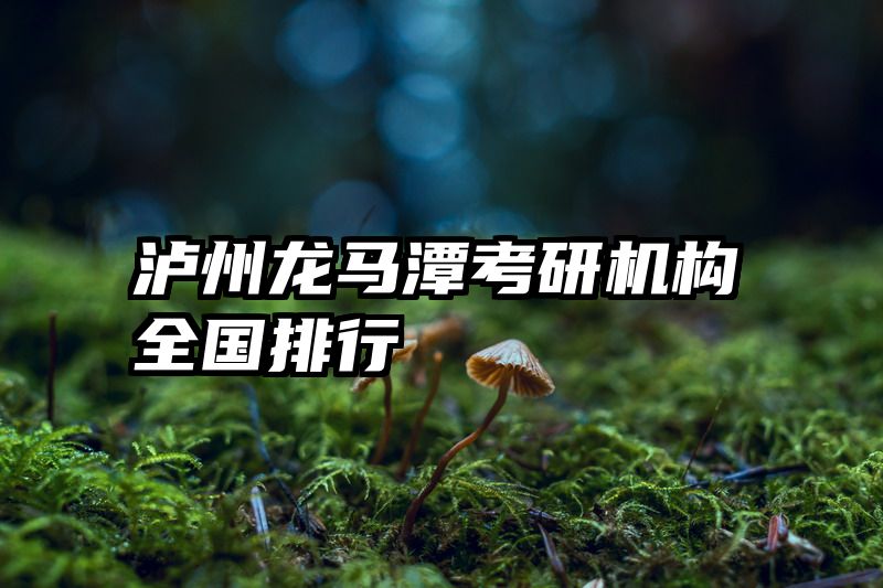 泸州龙马潭考研机构全国排行