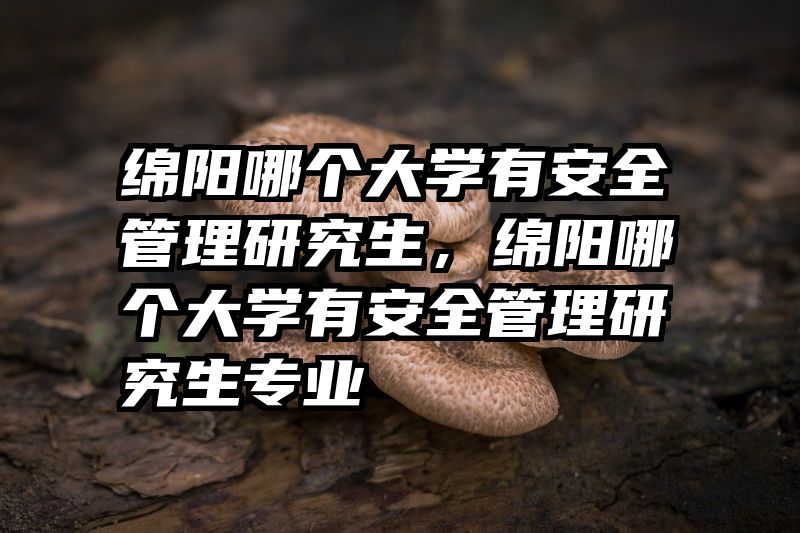绵阳哪个大学有安全管理研究生，绵阳哪个大学有安全管理研究生专业