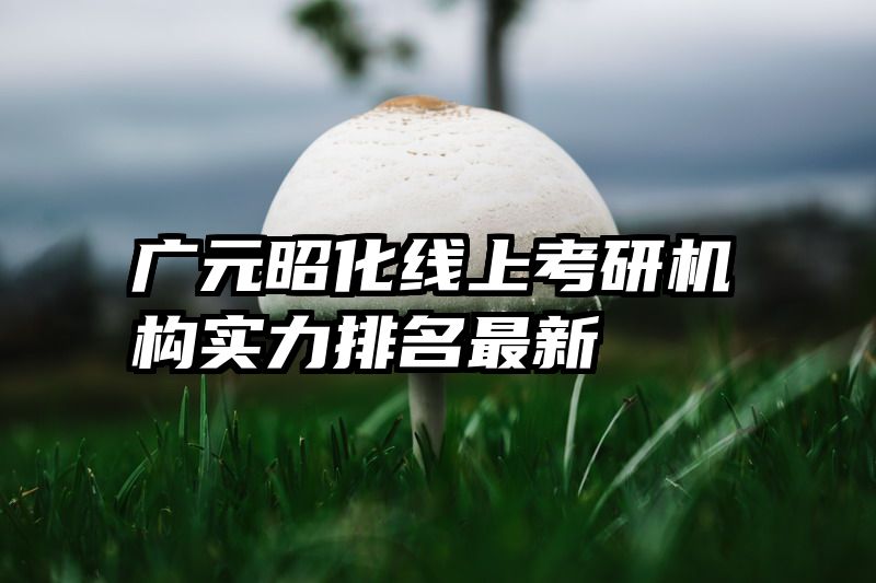 广元昭化线上考研机构实力排名最新